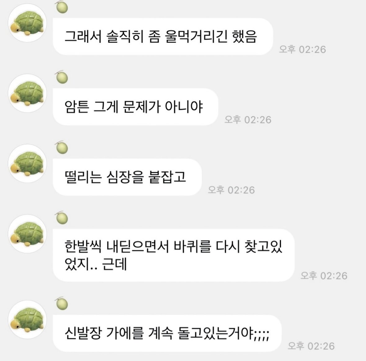 숙소에 바선생 출몰해서 흥분한 윈터