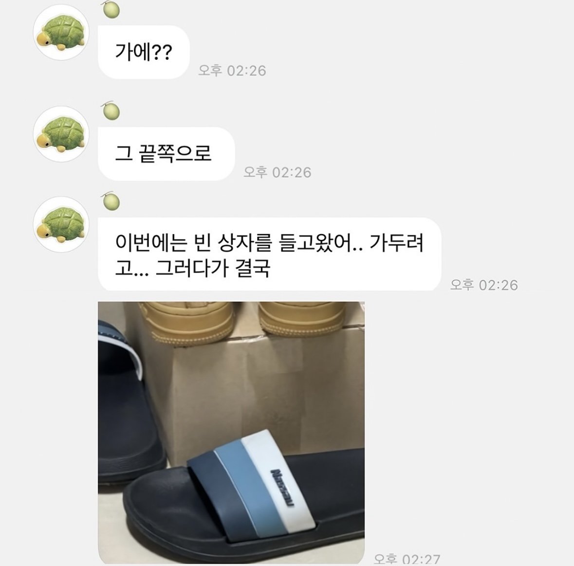 숙소에 바선생 출몰해서 흥분한 윈터