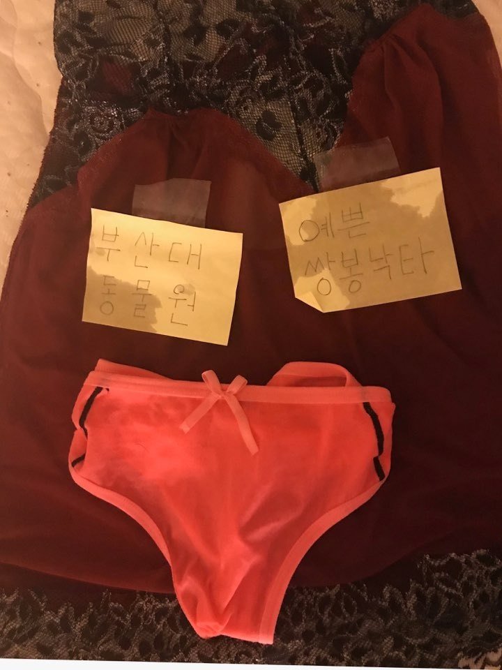 ㅇㅎ) 부산대 인증녀 레전드