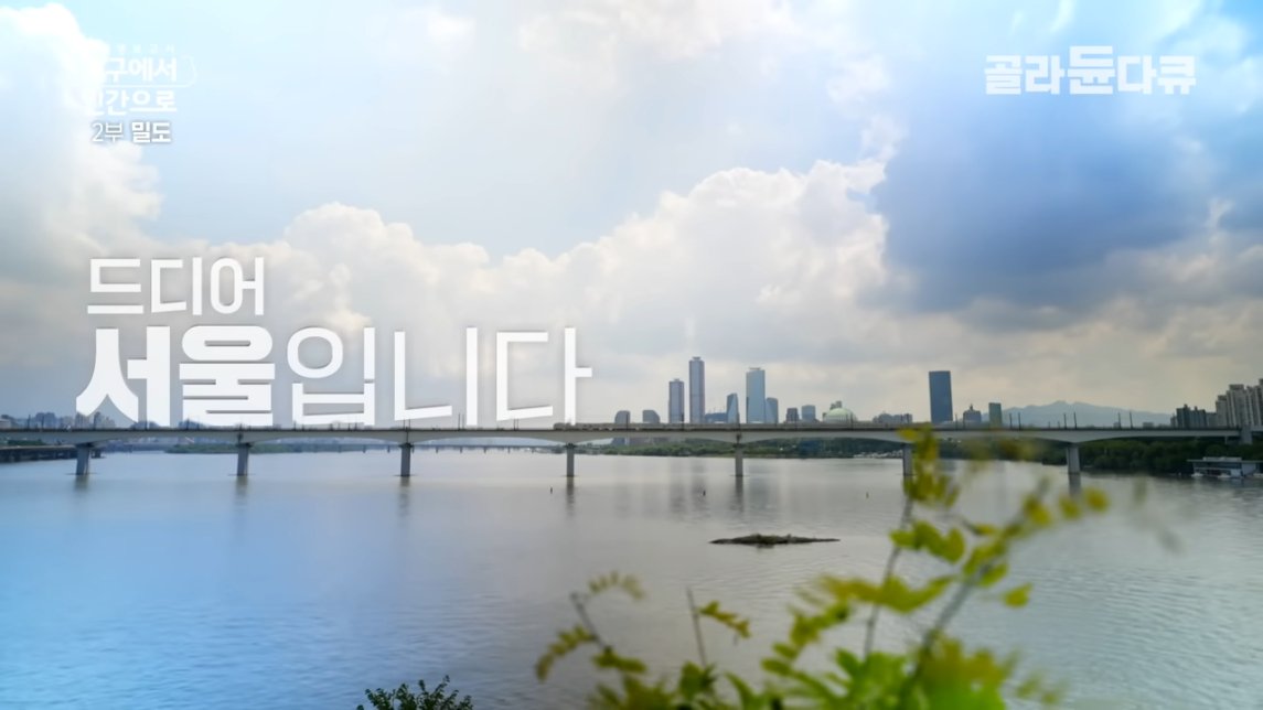 직장인들 삶의 질 박살나는 요소 甲