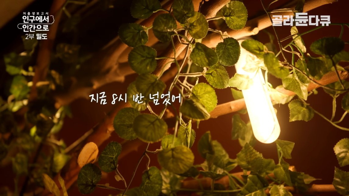 직장인들 삶의 질 박살나는 요소 甲