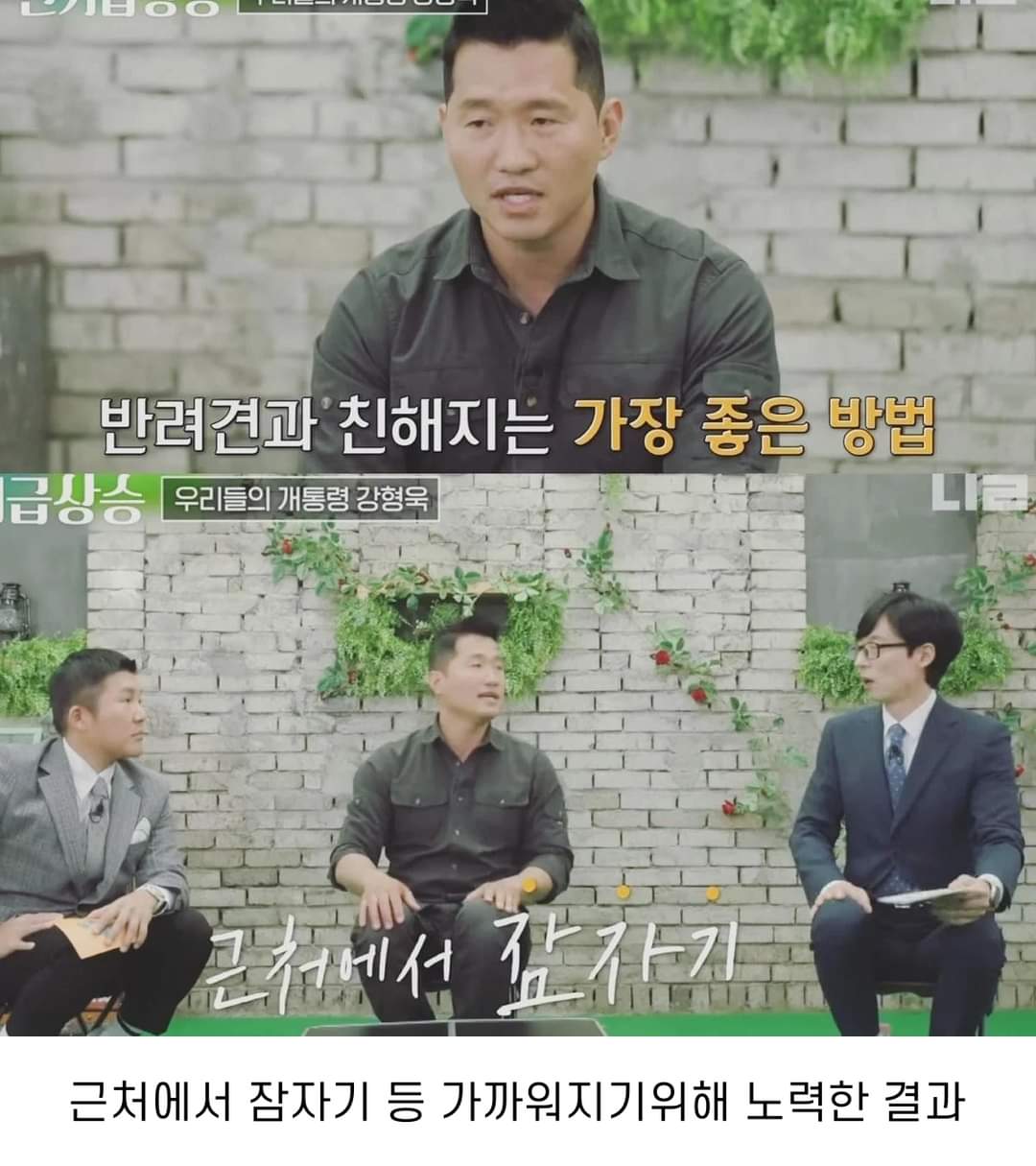 이름도 없던 강아지의 입양 전후 변화