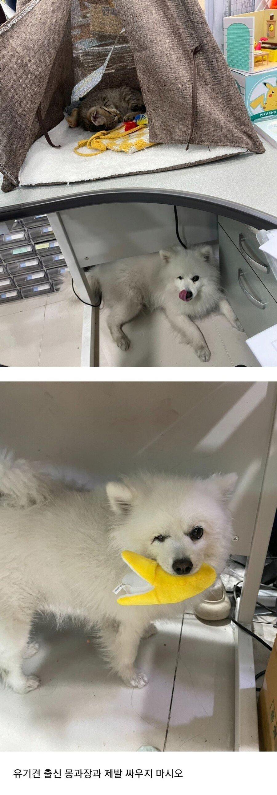 얼떨결에 회사 강제 입사 ㄷㄷㄷㄷㄷ
