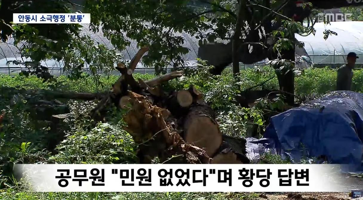 구라치다가 취재가 계속되자 인정하는 공무원