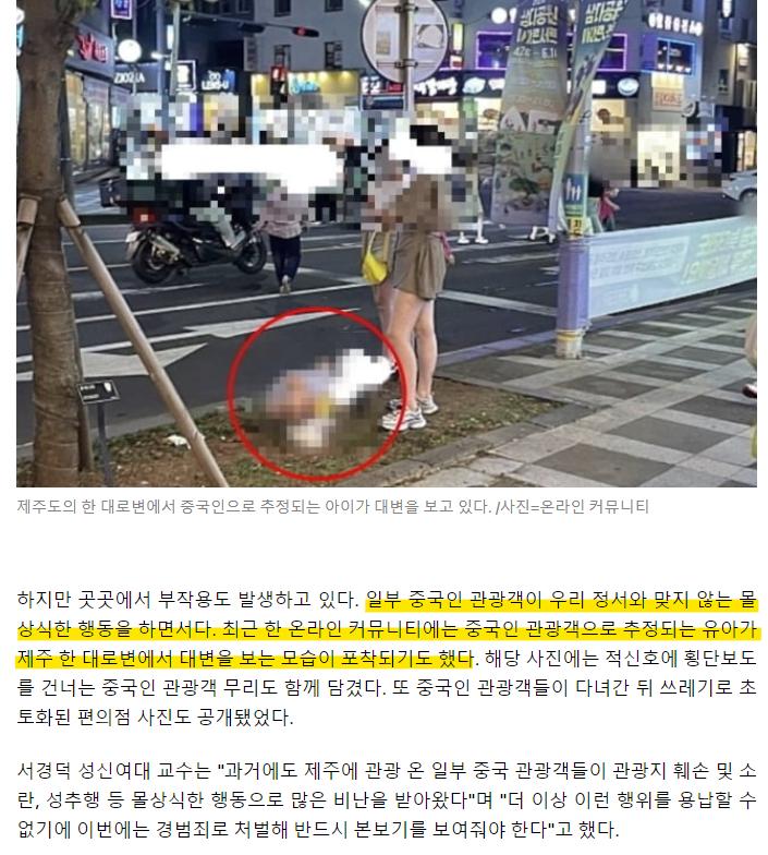 "무단횡단 왜 잡냐" 중국인들 폭발…난리 난 제주도 근황
