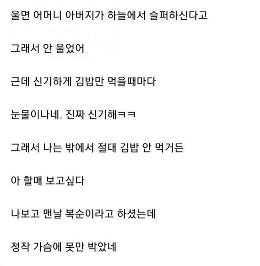할머니가 싸 준 김밥 썰