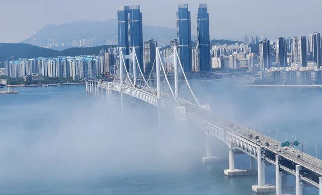 부산광역시 첫 '소멸위험지역' 진입