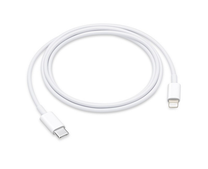 Apple 정품 Lightning-C타입 충전 케이블, 1m, 1개