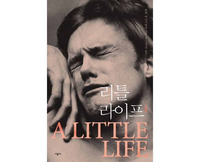 리틀 라이프 1, 시공사, 한야 야나기하라 저/권진아 역