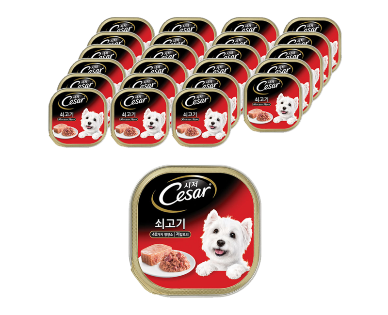 시저 반려견 주식캔, 소, 100g, 24개