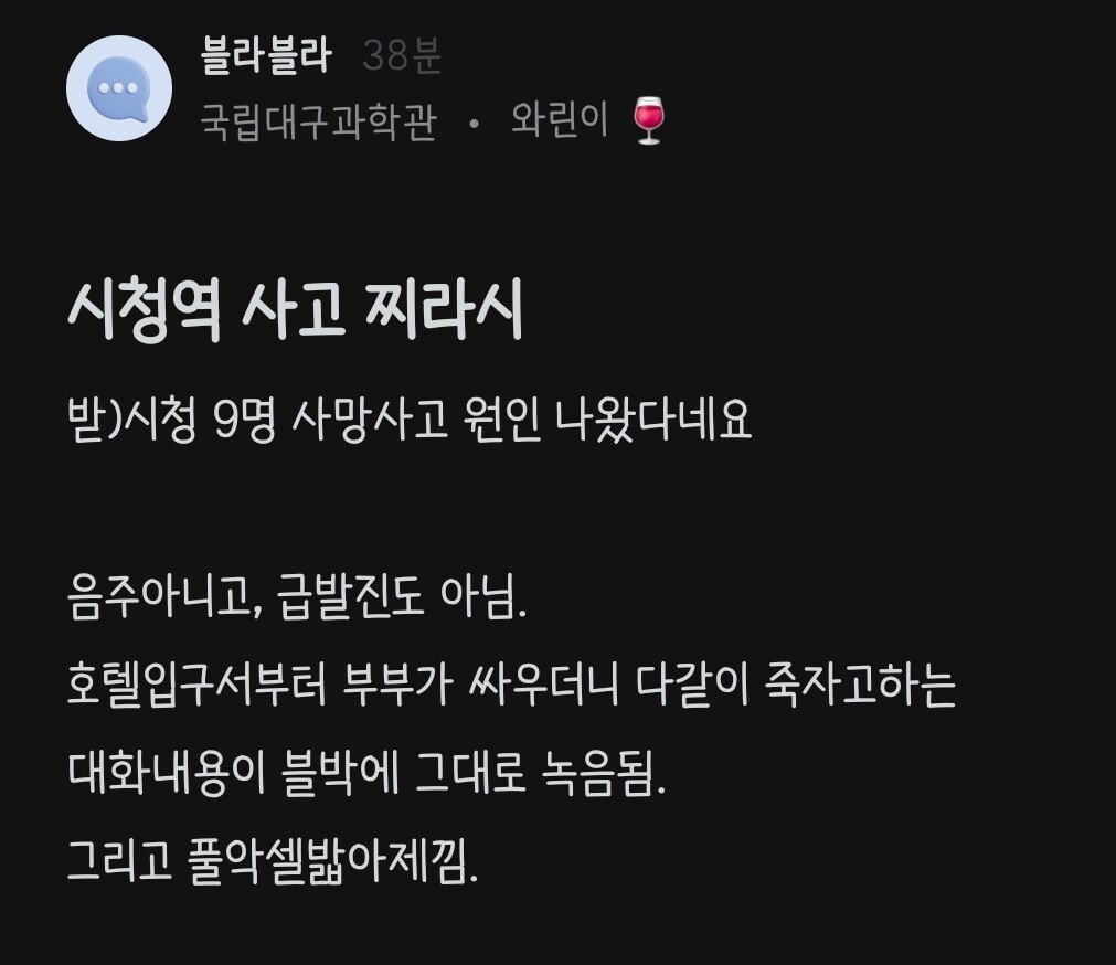블라발 찌라시) 시청역 사고 원인은 부부싸움