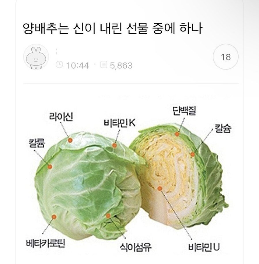 신이 내린 선물
