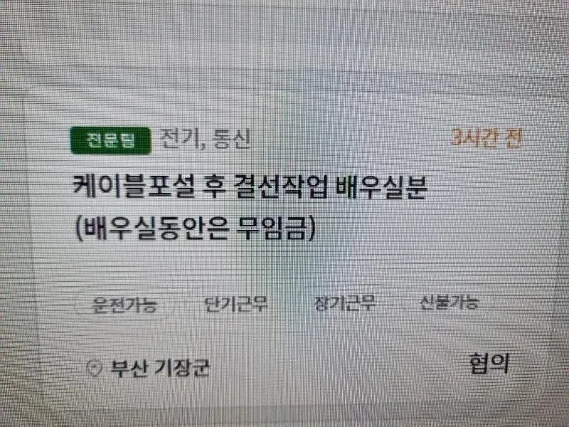 미쳐버린 구인광고 근황