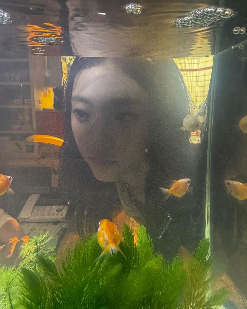 뉴진스 해린
