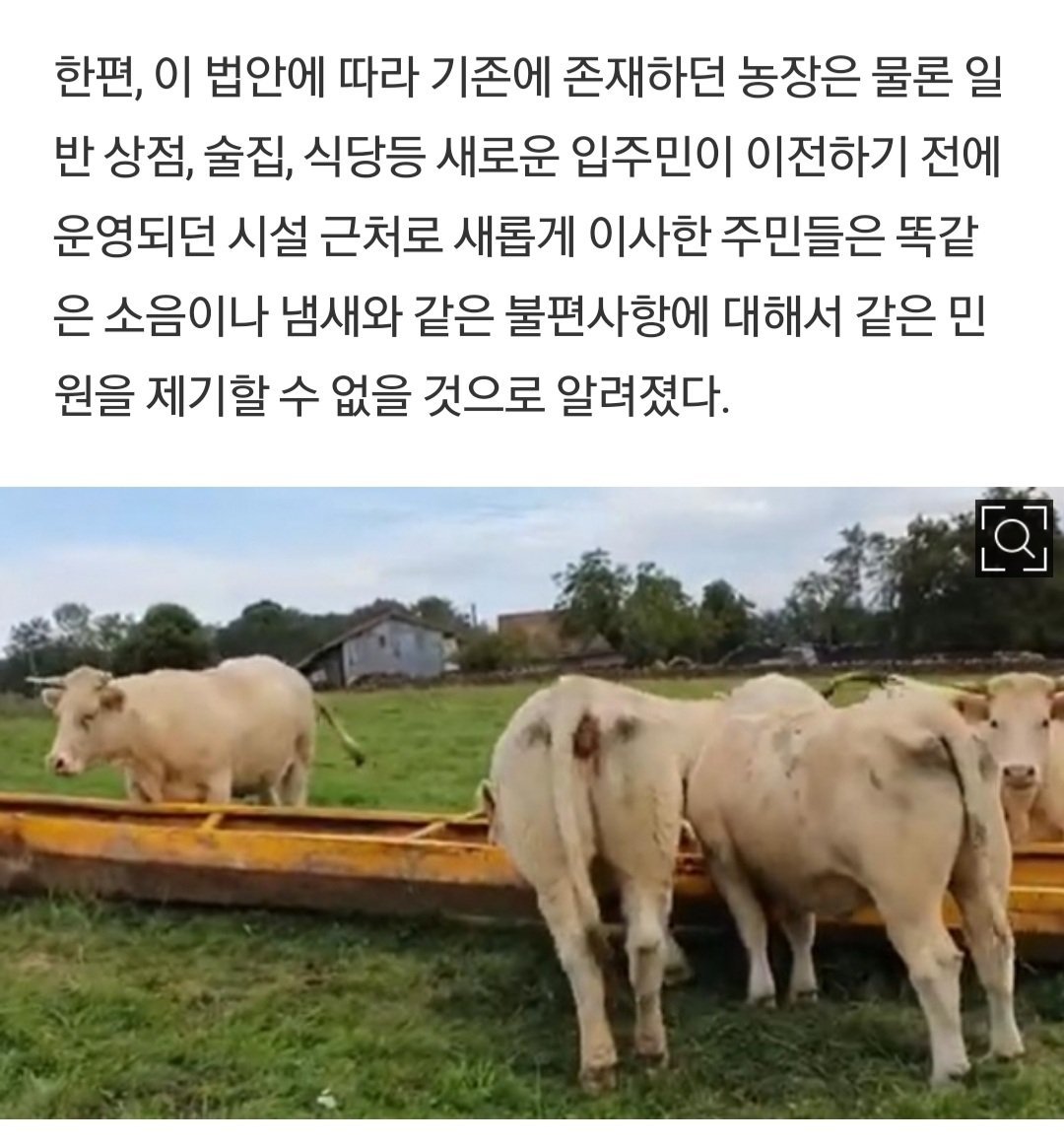 한국에 당장 도입해야 하는 프랑스 정책