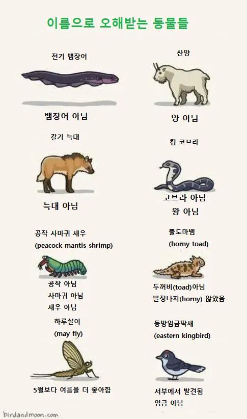 이름으로 오해받는 생물들