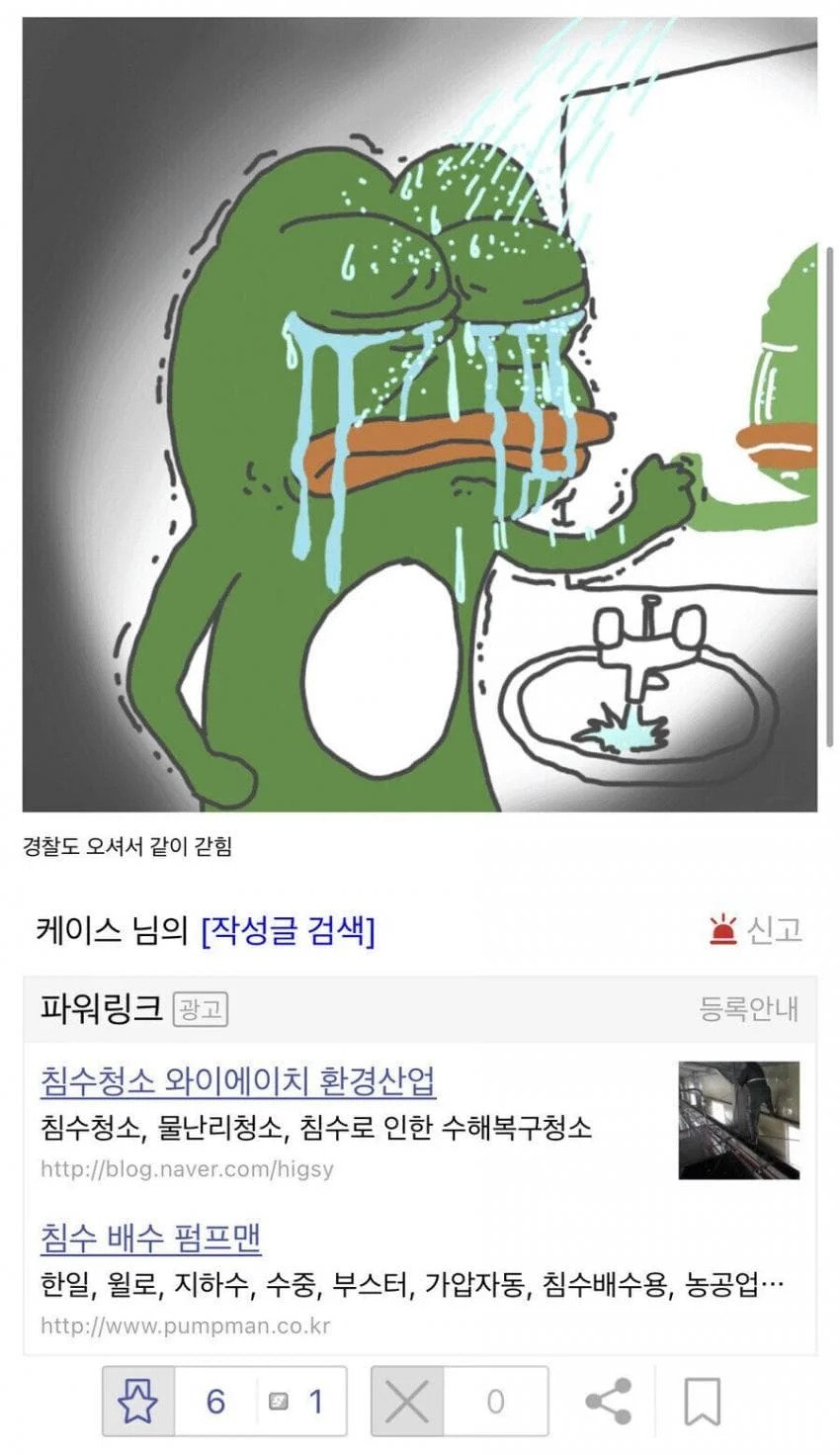폭우에 갇혀 경찰을 부른 디시인