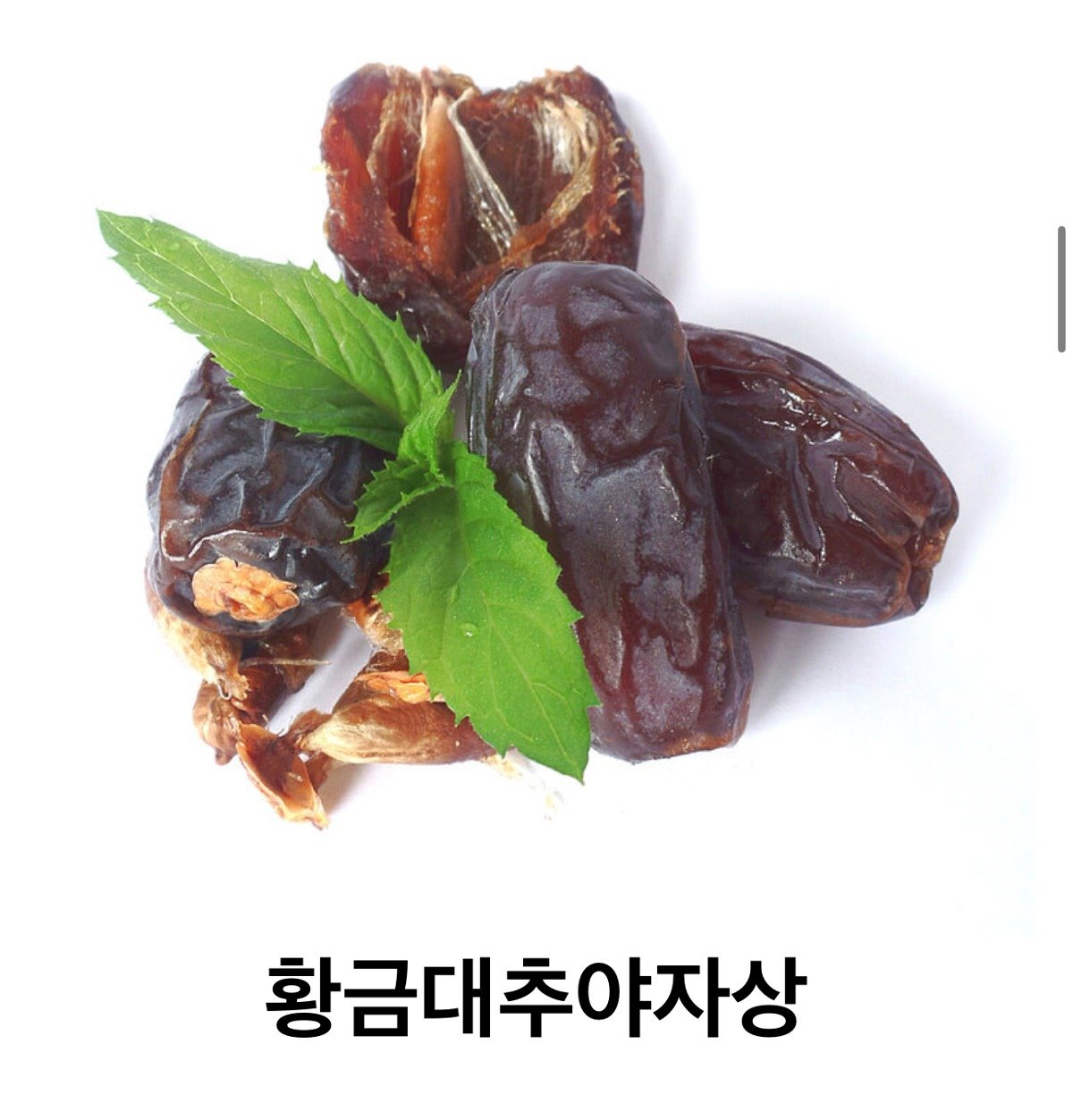 오역인 걸 알면서도 고치지 않는 번역