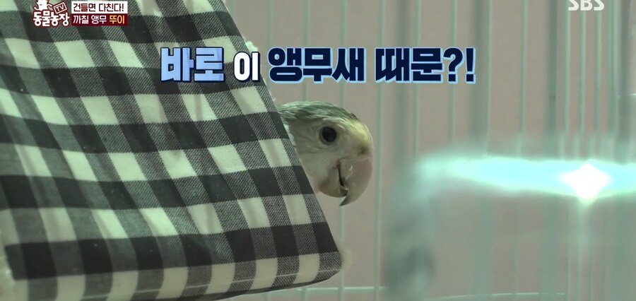 결국 논문거리까지 찾아낸 동물농장 (스압)