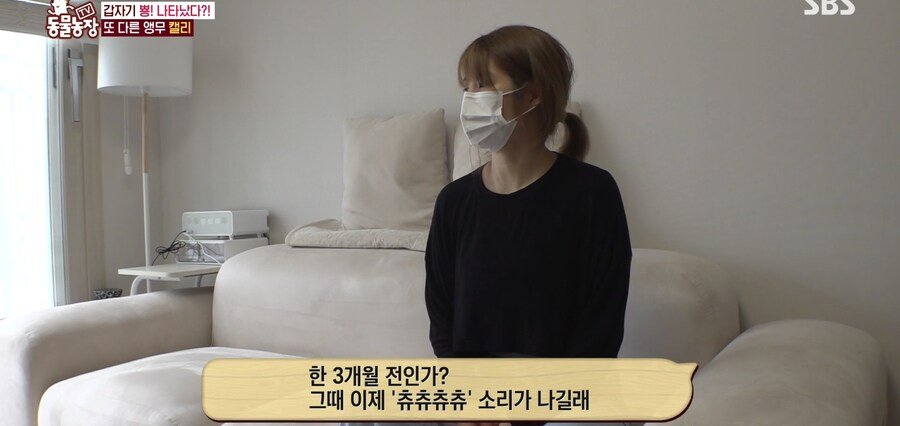 결국 논문거리까지 찾아낸 동물농장 (스압)