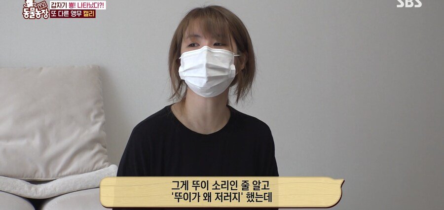 결국 논문거리까지 찾아낸 동물농장 (스압)