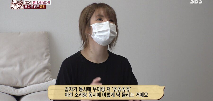 결국 논문거리까지 찾아낸 동물농장 (스압)
