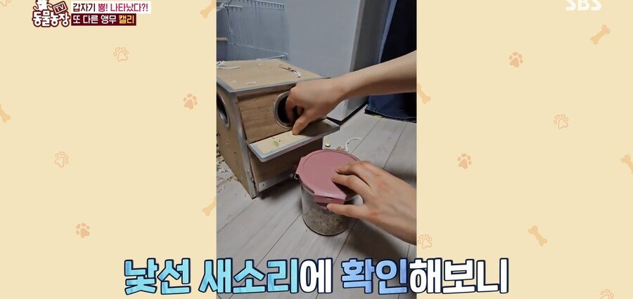 결국 논문거리까지 찾아낸 동물농장 (스압)