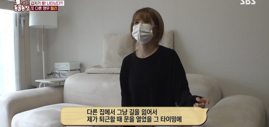 결국 논문거리까지 찾아낸 동물농장 (스압)