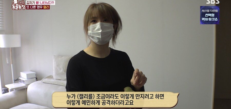 결국 논문거리까지 찾아낸 동물농장 (스압)