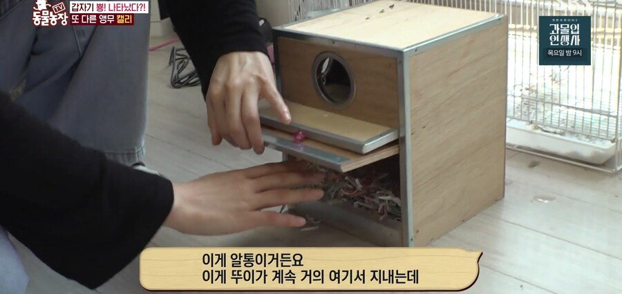 결국 논문거리까지 찾아낸 동물농장 (스압)