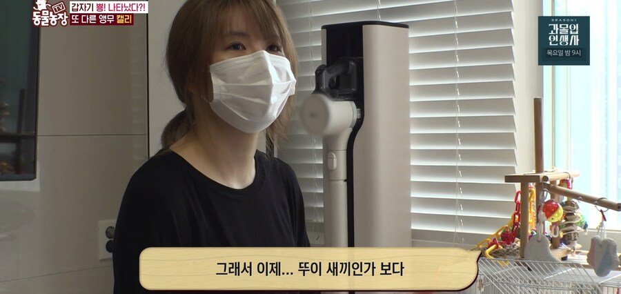 결국 논문거리까지 찾아낸 동물농장 (스압)