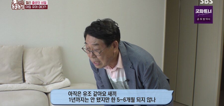 결국 논문거리까지 찾아낸 동물농장 (스압)