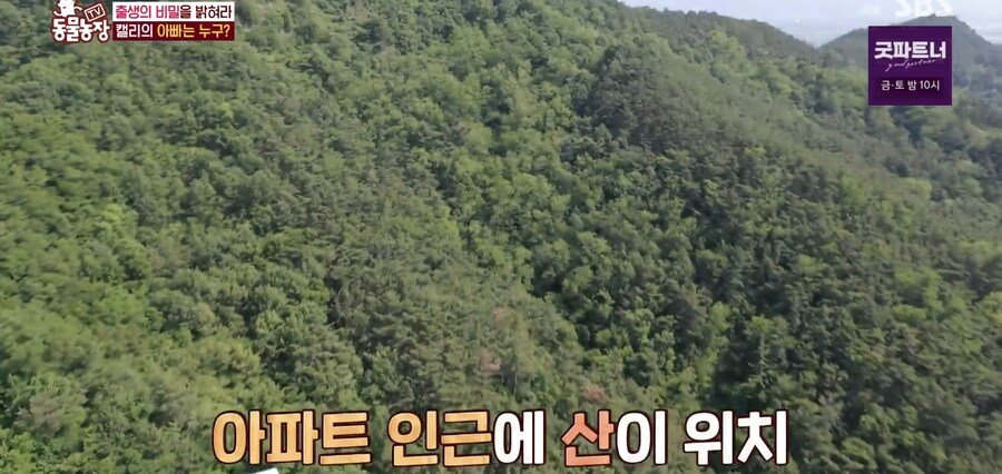 결국 논문거리까지 찾아낸 동물농장 (스압)