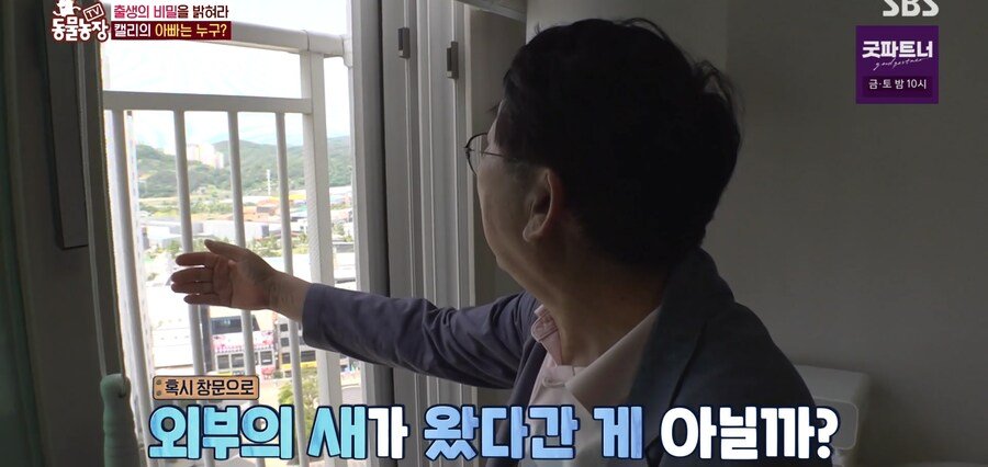 결국 논문거리까지 찾아낸 동물농장 (스압)