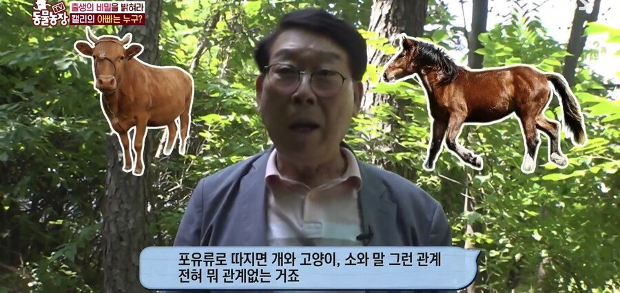 결국 논문거리까지 찾아낸 동물농장 (스압)