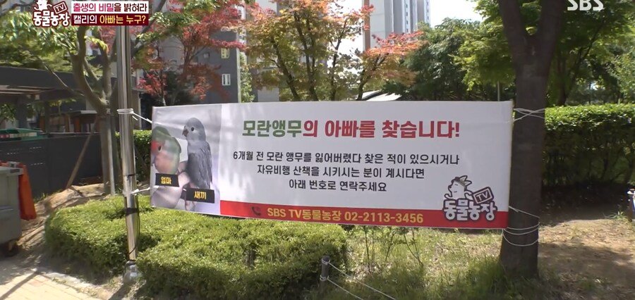 결국 논문거리까지 찾아낸 동물농장 (스압)