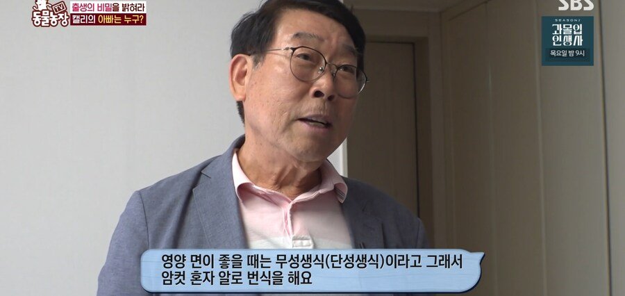 결국 논문거리까지 찾아낸 동물농장 (스압)
