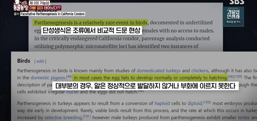 결국 논문거리까지 찾아낸 동물농장 (스압)