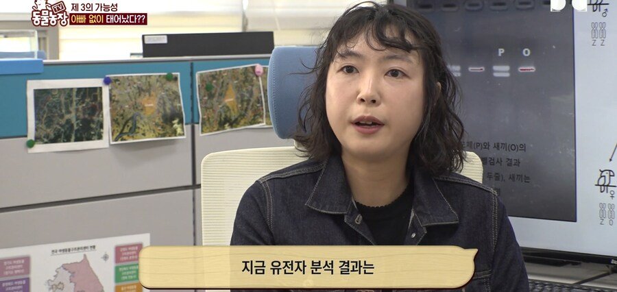 결국 논문거리까지 찾아낸 동물농장 (스압)