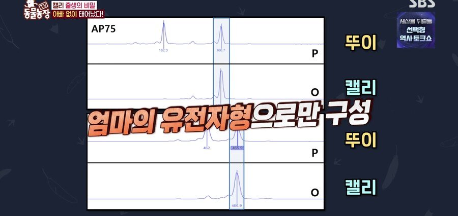 결국 논문거리까지 찾아낸 동물농장 (스압)