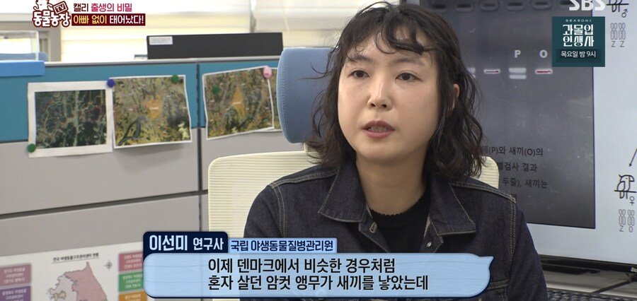결국 논문거리까지 찾아낸 동물농장 (스압)