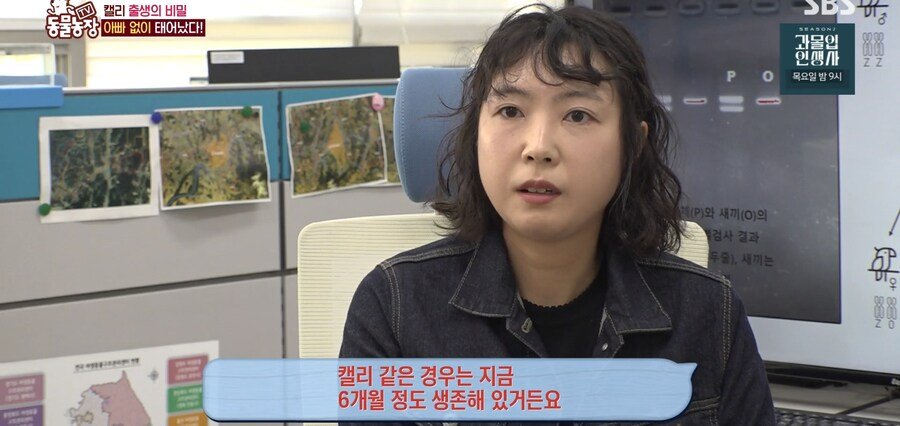 결국 논문거리까지 찾아낸 동물농장 (스압)