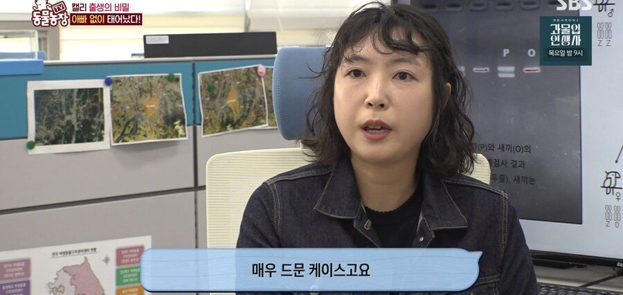 결국 논문거리까지 찾아낸 동물농장 (스압)