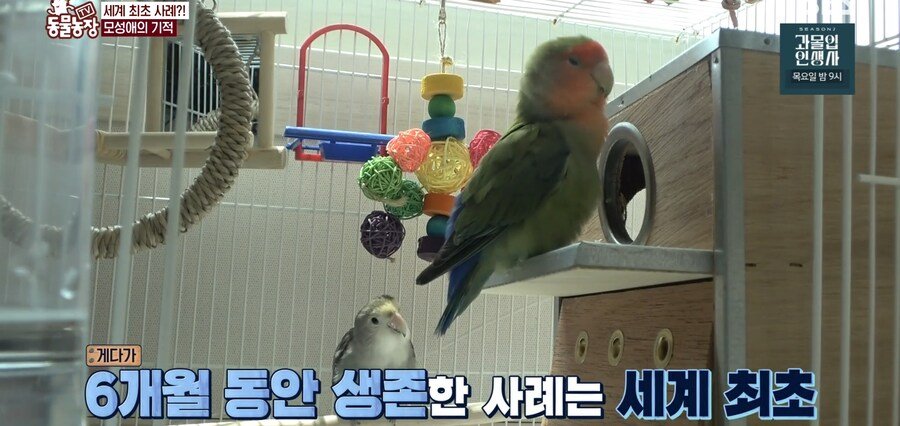 결국 논문거리까지 찾아낸 동물농장 (스압)