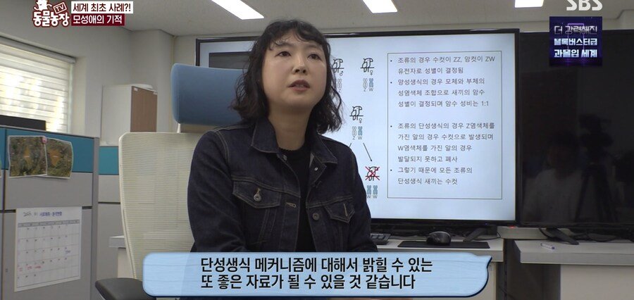 결국 논문거리까지 찾아낸 동물농장 (스압)