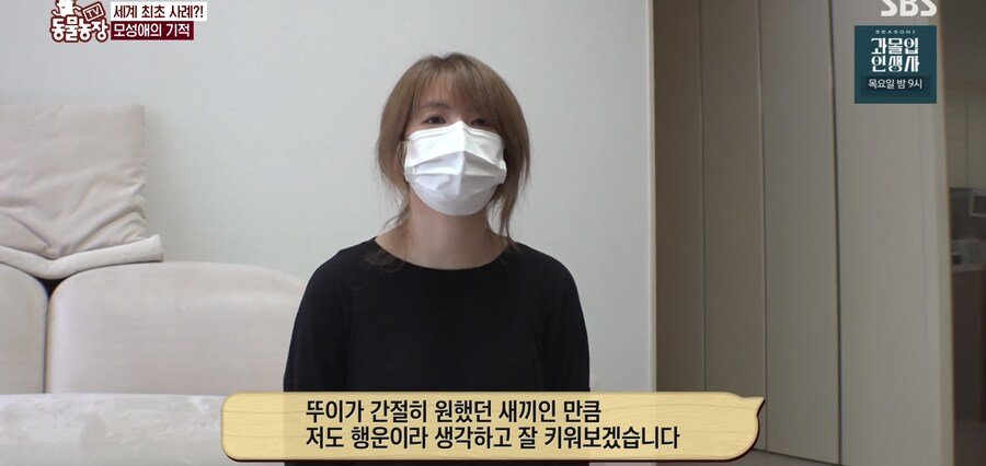 결국 논문거리까지 찾아낸 동물농장 (스압)