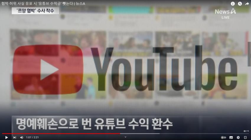 유튜브로 허위사실 유포하는 유튜버들 수익 죄다 추징