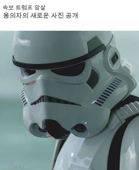 해외에서 올라오는 트럼프 밈