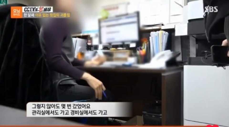 소름) 조현병 이웃 만나서 고통받는 신혼부부
