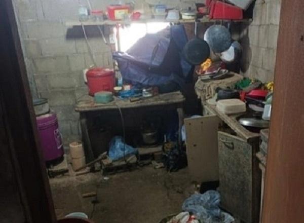 10년간 돼지우리서 지내다 숨진 태국인…시신 유기한 농장주 "집행유예"